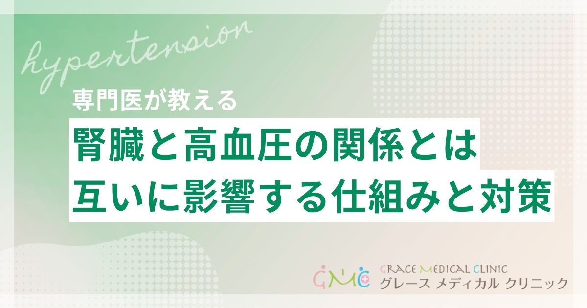 腎臓と高血圧の関係とは?互いに影響し合う仕組みと対策を解説